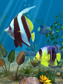 Animated_3D_Fish_3.gif
